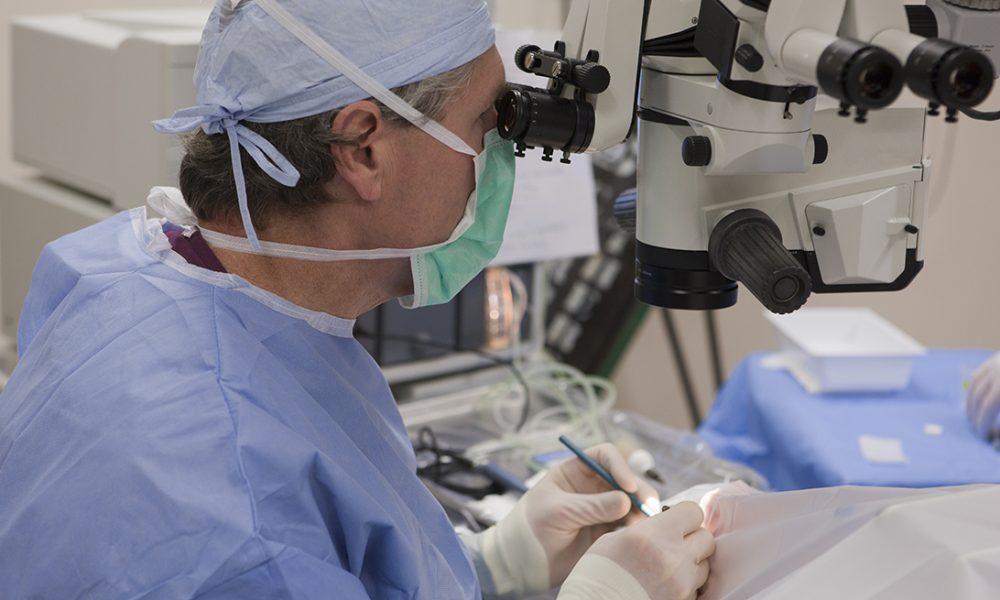 Cataract Surgery