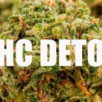 How to Detox Your Body from Weed